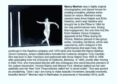 About Nancy Meehan